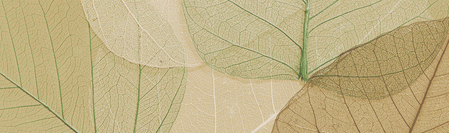 Physiotherapie Praxis Empfang